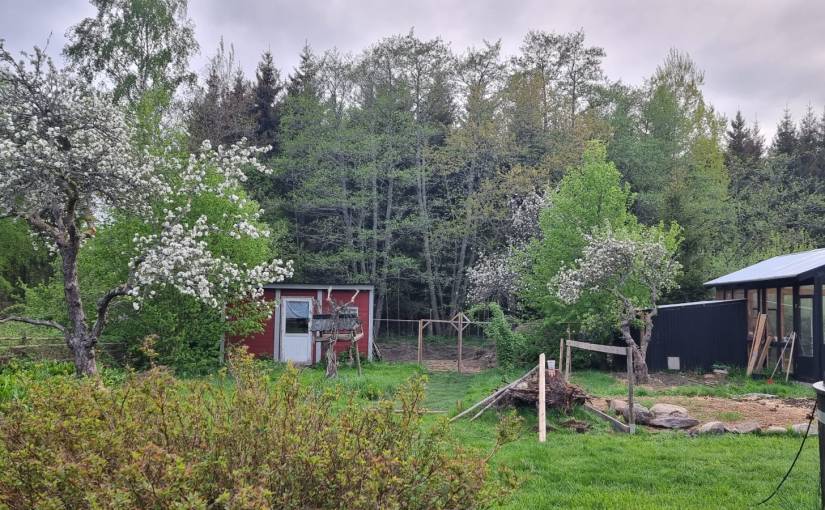 WeekNews#1 – A weekend in the&nbsp;garden