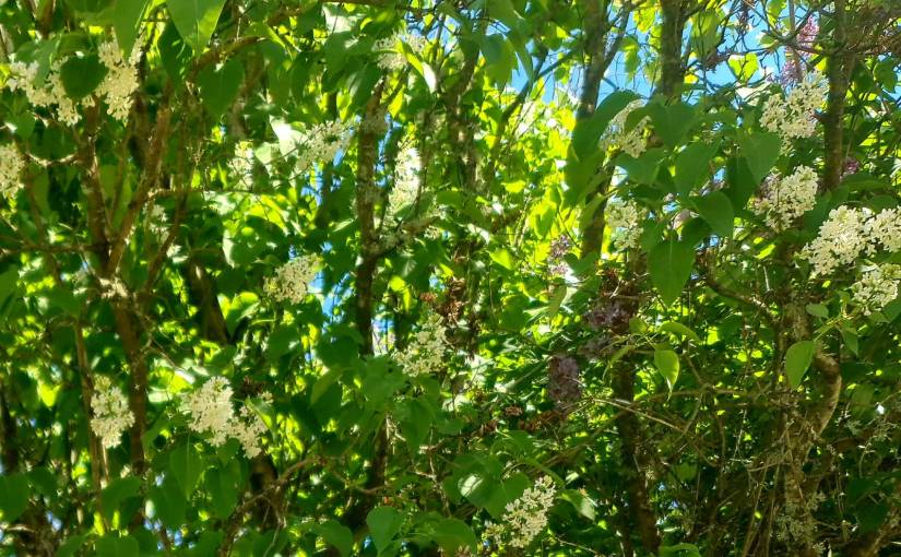 WeekNews #2 Feels like summer,&nbsp;almost