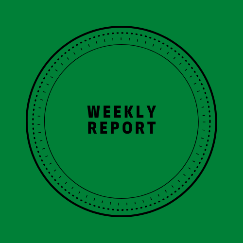 Weekly report v.&nbsp;3