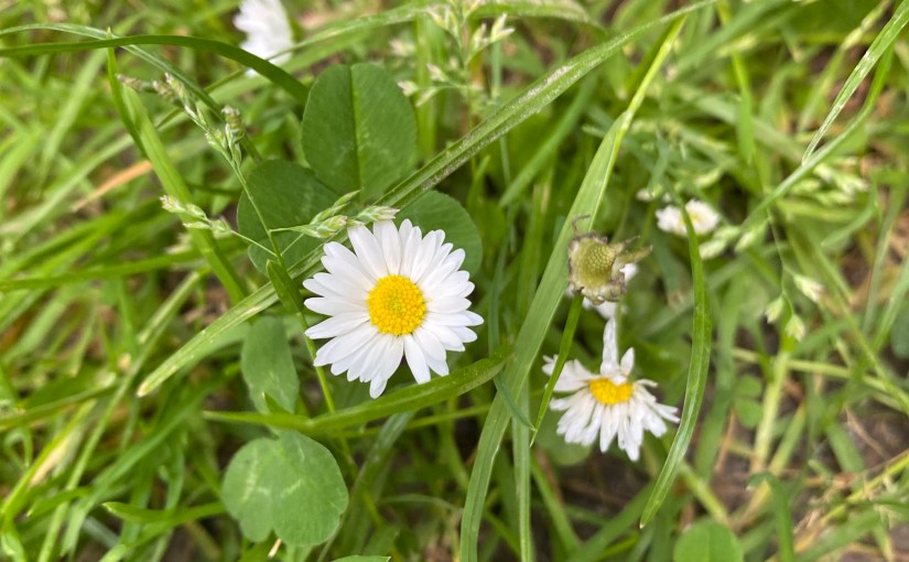 Building Your Personal Brand in Business: A Mindful&nbsp;Approach