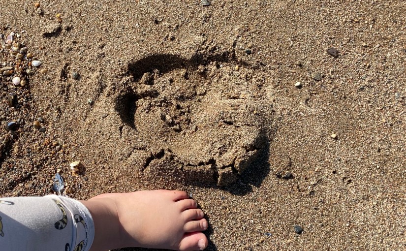 Unveiling Acceptance: A Vital Key in the Nine Attitudes of&nbsp;Mindfulness