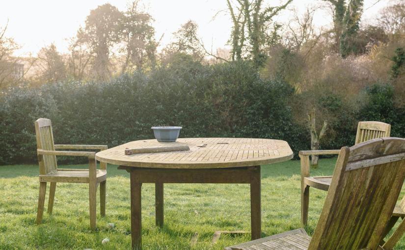 Gardening and Embracing the Art of Letting&nbsp;Go