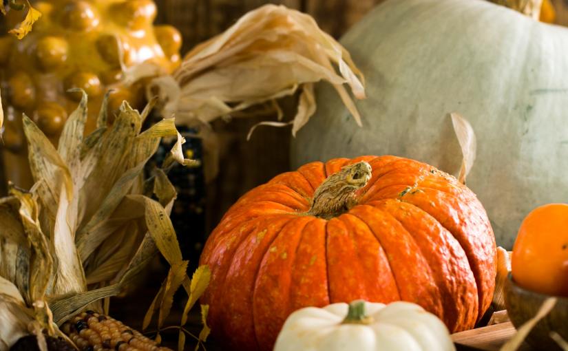 Essential Harvesting Tools Every Gardener Should Own 