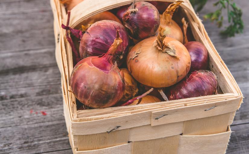 Understanding What We Eat: A Gardener’s Tale of Taste and&nbsp;Cultivation